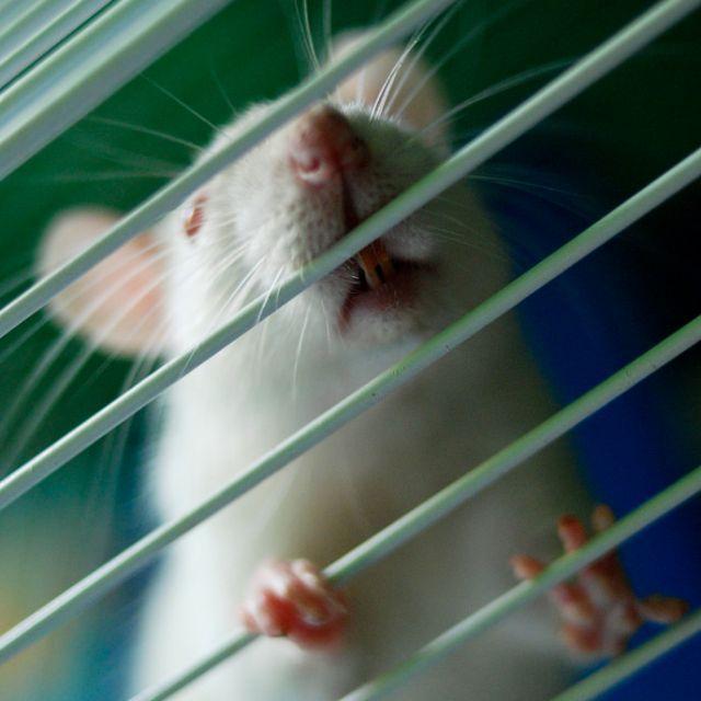 貴陽(yáng)生物技術(shù)服務(wù)公司